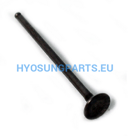 Hyosung Intake Valve Gt125 Gt125R Gv125 - Free Shipping Hyosung Parts Eu